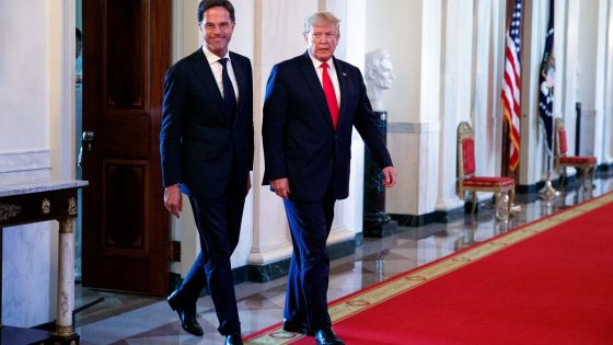 Rutte to convince Trump to stay in NATO at crucial White House meeting