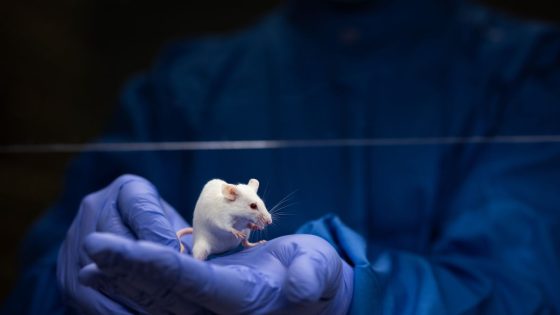 Scientists Put A Human "Language Gene" Into Mice And Curious Things Unfolded