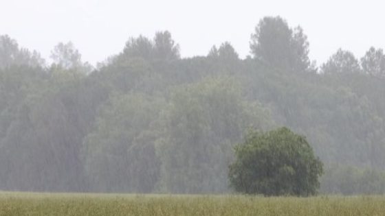 Avís per intensitat de pluja a la demarcació de Girona aquest diumenge