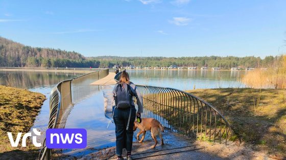 Wateroverlast aan pontonbrug 'Fietsen tussen de Mijnterrils' in Lanklaar: "Te wijten aan uitzonderlijk hoge waterstand"