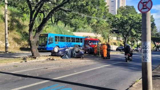 Carro bateu em duas árvores antes de capotar em BH; veja fotos - Itatiaia