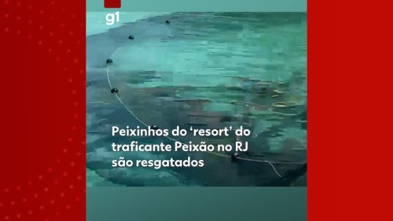 VÍDEO: 'resort' do crime é demolido e peixes do lago artificial do traficante Peixão são resgatados | Rio de Janeiro