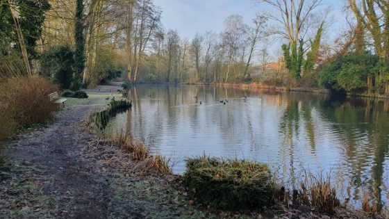 Lichaam van zestiger gevonden in vijver in Neerglabbeek - Het Belang van Limburg