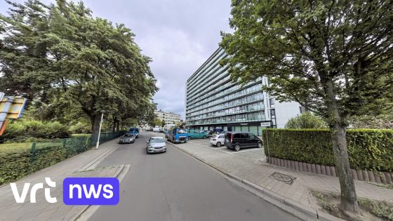 Bewoner ontdekt kogelgaten in voordeur van appartementsgebouw in Merksem - VRT.be