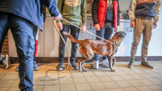 Na drugscontrole op bus met leerlingen die op weg waren naar schoolreis: wat zijn de voor- en nadelen van drugscontroles op school?