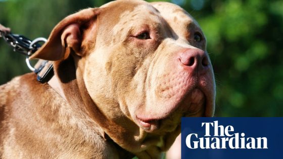 Tennessee man shot by his dog while lying in bed | US news