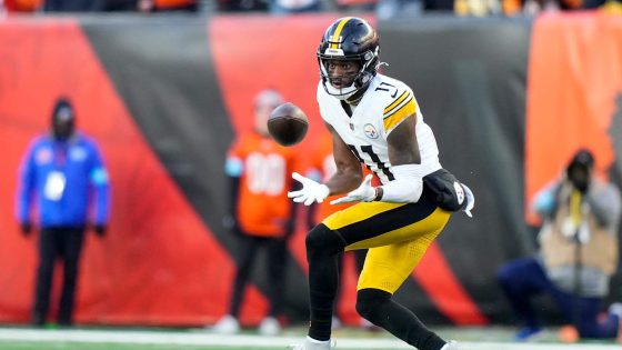 Tennessee Titans Sign Former Steelers WR