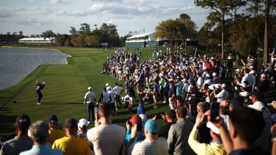 Texas' Potter apologizes for heckling McIlroy at TPC Sawgrass