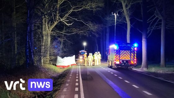 Dertiger komt om het leven bij verkeersongeval in Poederlee bij Lille