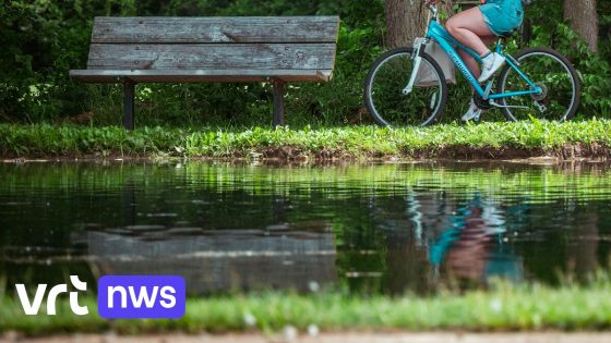 Fietser (59) uit Mortsel dood teruggevonden in beek naast put van Hombeek