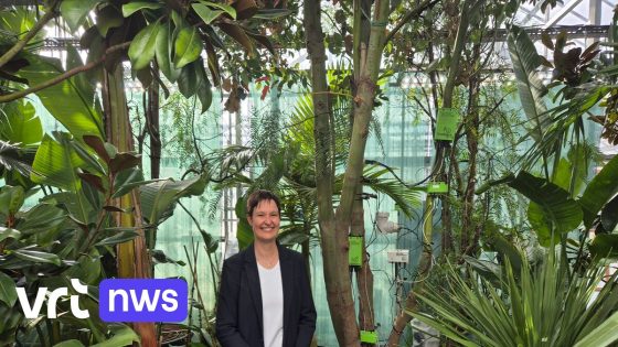 UGent ontwikkelt bio-airco met tropische bomen en planten:  "Microklimaat zorgt voor aangename temperaturen" 