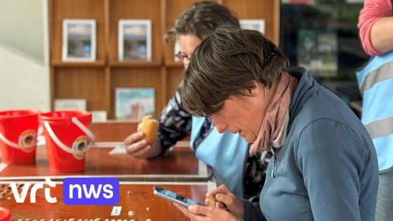 Grote Schelpenteldag aan de kust: "Kijken welke soorten er zijn"