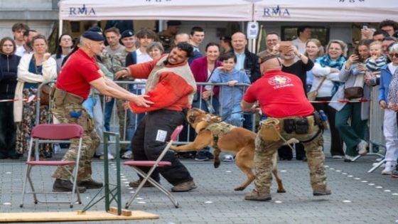 Opvallende belangstelling voor Koninklijke Militaire School (Brussel)