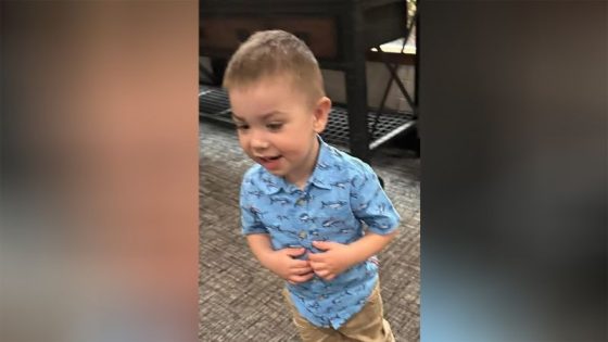 Massive search underway for 2-year-old Oregon boy last seen playing in yard