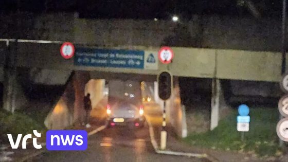 Alweer zit een bestelwagen vast onder brug, Herent wil opvallende borden plaatsen