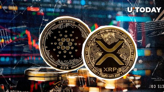 XRP, ADA, and SOL Prices Skyrocket Following Crypto Strategic Reserve Announcement