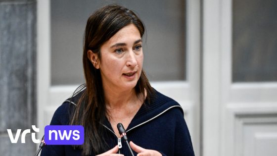 Minister Zuhal Demir (N-VA) lanceert prijzenvergelijker om dienstenchequebedrijven tot meer transparantie te dwingen: "Subsidies dienen niet om winst op te drijven"