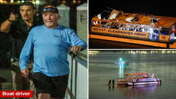 Boater in fatal Florida crash blames ferry captain for being 'distracted by dolphins'