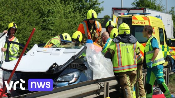 Vrachtwagen rijdt in Temse auto aan na remmanoeuvre voor overstekend dier: vrouw zwaargewond