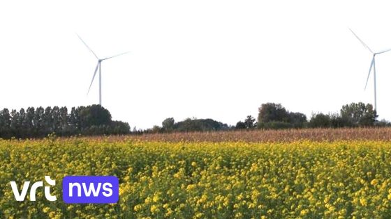 Vlaamse regering moet opnieuw beslissen over bouw van hoge windturbines in Laarne