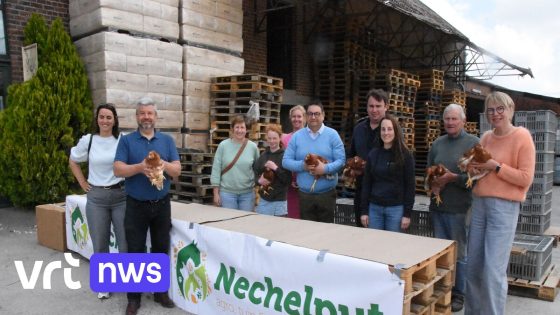 147 kippen moeten zorgen voor minder keuken- en tuinafval in Pepingen