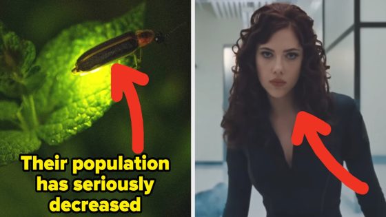 15 Things From 20 Years Ago That Aren't Common Anymore