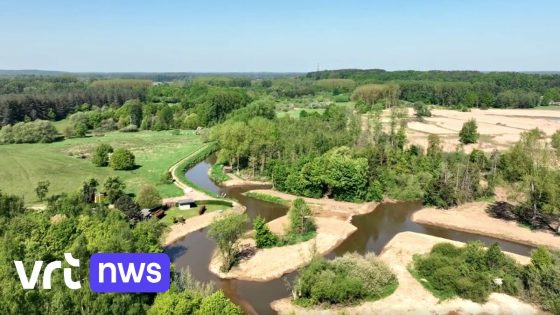 3 meanders weer aangesloten op Demer in Scherpenheuvel-Zichem: "Goed nieuws voor dieren en kajakkers"