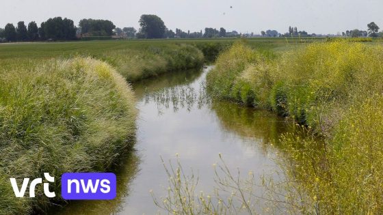 Oppompverbod op 41 Oost-Vlaamse onbevaarbare waterlopen en grachten door aanhoudende droogte 