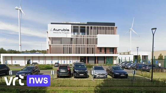 Hoge concentraties arseen gemeten rond metaalproducent Aurubis in Olen: gemeente wil onmiddellijk maatregelen