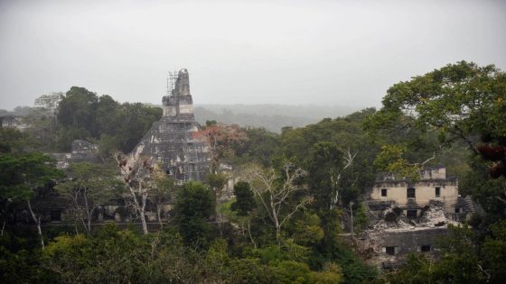 Newly discovered ancient city sheds light on Mayan civilisation - The Independent