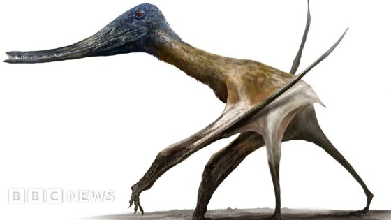 Tracks show flying giants walked with dinosaurs