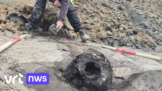 Houten Romeinse waterleiding ontdekt bij werken in Leuven: "Unieke vondst"