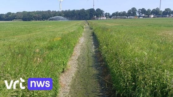 Gouverneur Antwerpen neemt extra maatregelen door aanhoudende droogte: verbod om water op te pompen breidt uit