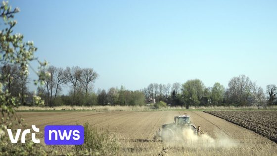 Droogtecommissie doet oproep aan waterbeheerders en boeren na 2 droge maanden: "Houd water zo veel mogelijk vast"