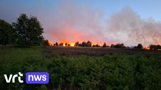 Parket start onderzoek naar heidebrand in Nationaal Park Hoge Kempen: "Dat 3 brandhaarden vanzelf ontstaan, zou heel toevallig zijn"