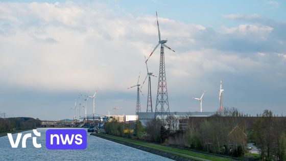 Sector ongerust over afstandsregels voor windturbines: "Stap achteruit voor hernieuwbare energie en klimaatdoelen"