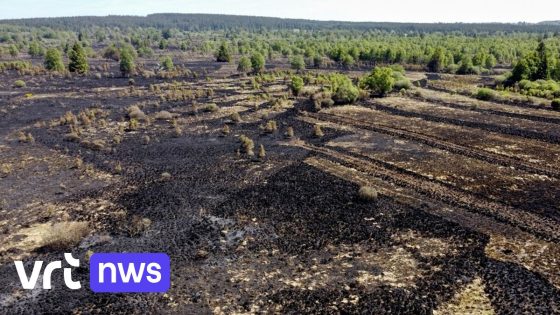 Minister Crucke trekt aan alarmbel: België moet zich "serieus voorbereiden" op meer natuurbranden