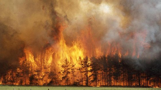 De droogte in kaart: lente roept al echo’s op van ‘rampjaar’ 1976 - De Standaard