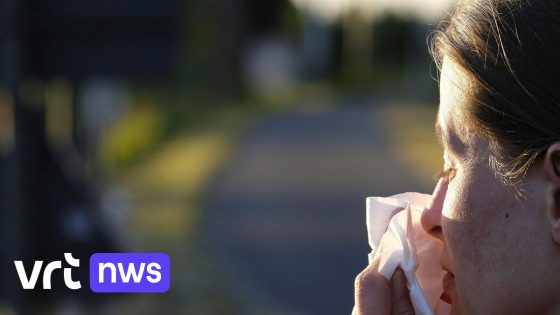 Daar zijn de graspollen (en hooikoorts) weer, piek wordt over enkele weken verwacht
