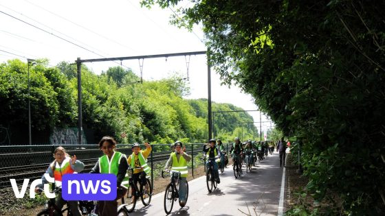 Drukke fietsostrade in Boechout vernieuwd: "Veiliger voor 2.200 dagelijkse gebruikers"