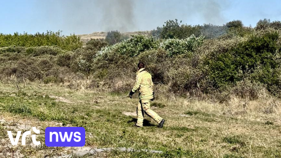 Brand verwoest 200 vierkante meter duingebied in Bredene: "Let dubbel zo hard op door de droogte"