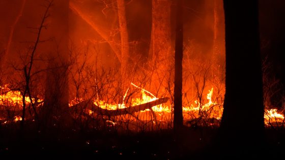 NJ wildfire: 2nd arrest made in connection with Jones Road blaze in New Jersey