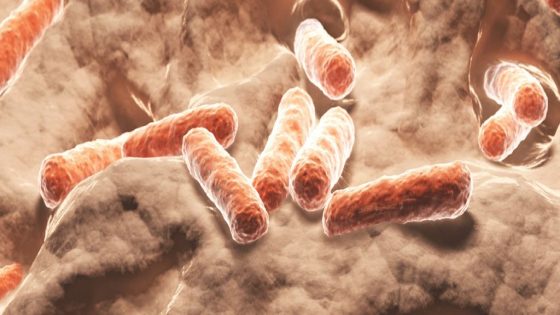 Scientists May Have Found a Natural Alternative to Ozempic : ScienceAlert