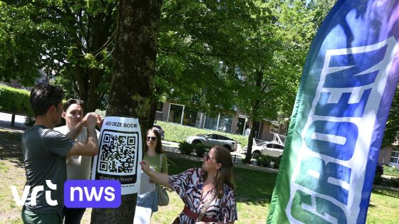 Boom moet wijken voor carnavalstent in Gullegem: oppositiepartij lanceert petitie