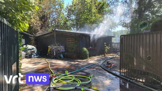 Chalet in bosrijk gebied in Wechelderzande brandt uit: bewoonster en hond ontsnappen aan de vlammen