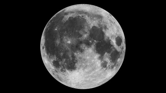 spacecraft photo of the moon, showing its varying dark and light patches