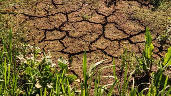 Code rood voor natuurgebieden in provincies Antwerpen en Limburg