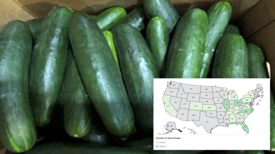 Cucumber recall linked to nationwide salmonella outbreak