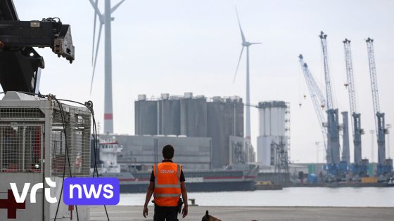 "Kracht van den blingbling" in ruil voor "levensgevaarlijk werk": waarom jongeren haven binnendringen om drugs uit te halen