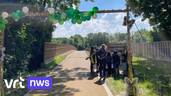 Decennia gescheiden door E19, nu zijn 2 bossen opnieuw met elkaar verbonden door 'groene brug' in Vilvoorde